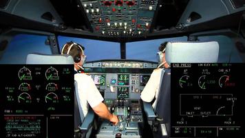 Flight Simulator Real World Pilot 3D Affiche