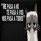 Hoy Me Pasan Todas - Frases أيقونة