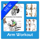 Arm Workout icône