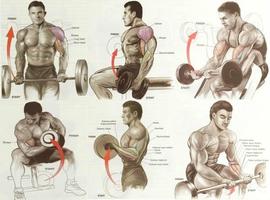 Arm Workout Affiche