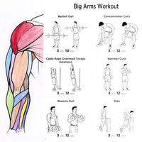 Arm Workout capture d'écran 2