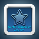 Contoh Curriculum Vitae CV APK
