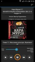 Манипуляция сознанием. Раздел4 Poster