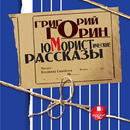 Горин. Юмористические рассказы APK