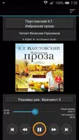 Паустовский. Избранная проза الملصق