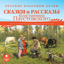 Сказки и рассказы Паустовского APK
