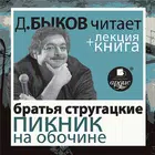 Пикник на обочине. Лекция icon
