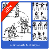 Techniques des arts martiaux icône