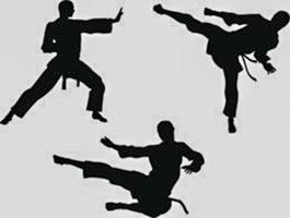 Técnicas de artes marciais imagem de tela 1