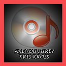 Are You Sure? - Kris Kross APK