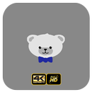 Teddy Bear Wallpapers HD 4K APK
