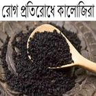 রোগ প্রতিরোধে কালোজিরা ikon