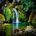 Waterfall LiveWallpaper 图标