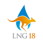 LNG 18 ícone