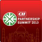 CII 2013 أيقونة