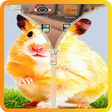 Hamster Zipper ScreenLock ikona