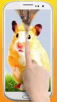 Hamster Zipper ScreenLock Affiche