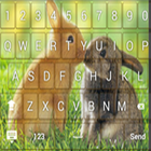 Cute Rabbit Keyboard Themes biểu tượng