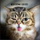 video Kucing Lucu Lucu أيقونة