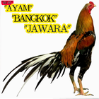 400+ Koleksi Ayam Bangkok icon