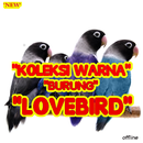 Koleksi Warna Burung Lovebird APK