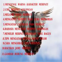 Rahasia Agar Merpati Kolongan Menjadi Juara ảnh chụp màn hình 1