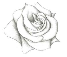 Sketch Pencil Ideas ภาพหน้าจอ 3