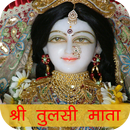 Shree Tulsi Mata APK