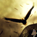 Break Free (Bald Eagle) Theme APK