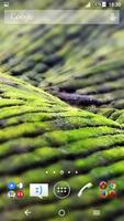Grasslands XP Theme 海报