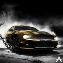 Race Car Gold Theme For XZ APK