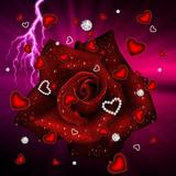 love rose biểu tượng