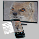 South African TV Guide APK