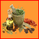 200+ Resep Obat Tradisional Herbal APK