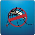 Dengue Ta.lk