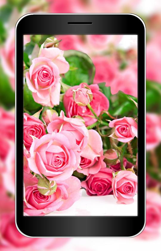Wallpaper 3d Bunga Android Image Num 78