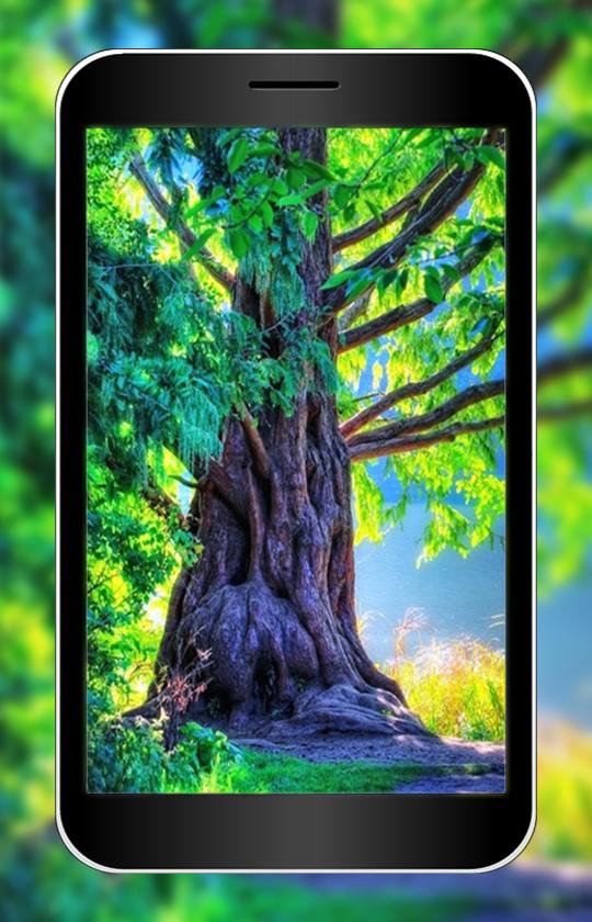 3D Nature Wallpaper HD for Android - APK Download