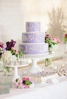 美妙的婚礼蛋糕 截图 3
