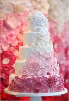 Wonderful Wedding Cakes capture d'écran 2