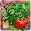 Personal Recipes APK