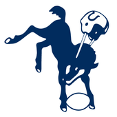Indianapolis Colts Snap icon