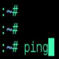 ping
