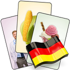 German Flash Cards with 408 Ca icône