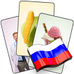 Russian Flash Cards with 408 Cards for Learning