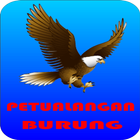 Bird Adventur أيقونة