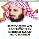 Quran Recitation by Al Ghamdi icon