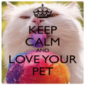 Keep calm Love Pet Wallpaper icon