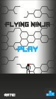 Flying Ninja Affiche