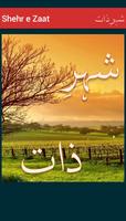 Shehr e Zaat Affiche