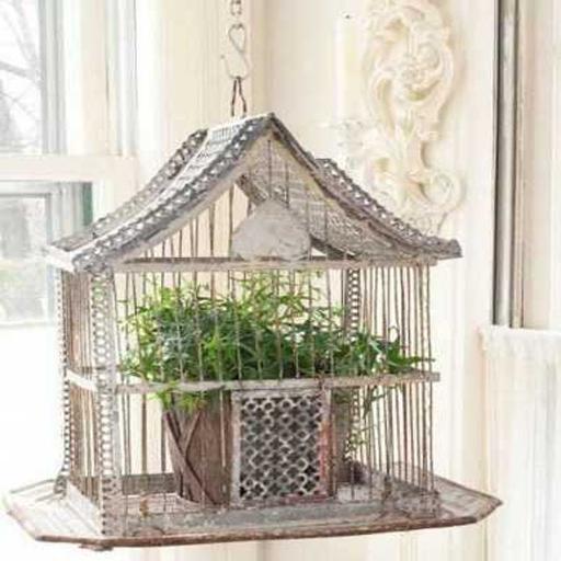 Old Bird Cage Decorating Ideas For Android Apk Download